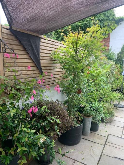 Blachington Cottage, Stunning And Central By Air Premier Seaford Εξωτερικό φωτογραφία